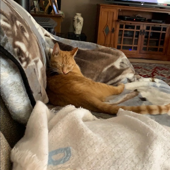 Meet your Posher, Margie - Picture 1 of 1